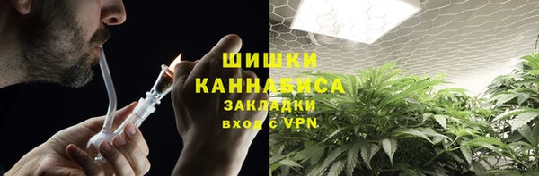 гидропоника Алзамай
