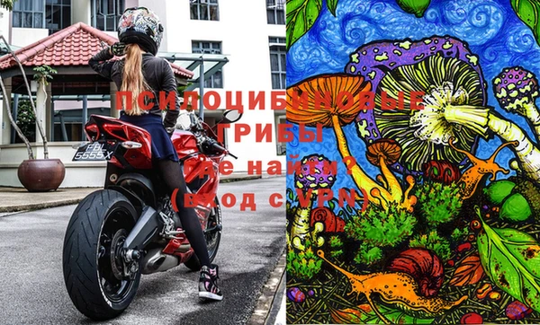 кокаин колумбия Алексин