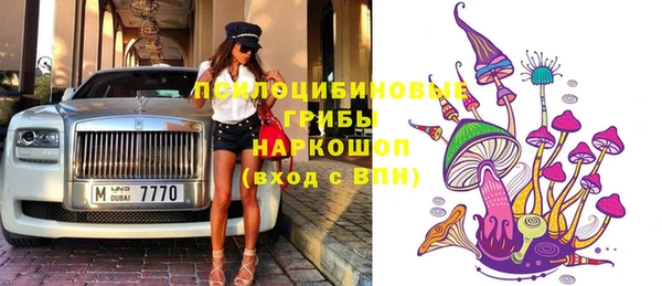 гидропоника Алзамай