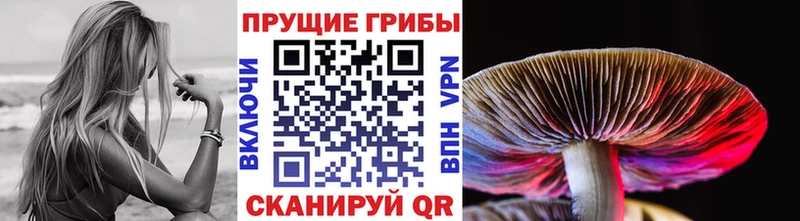 Псилоцибиновые грибы Cubensis  площадка Telegram  ссылка на мегу ССЫЛКА  Тайшет  хочу наркоту 